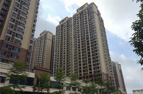 肇慶市僑興物業攜手極致科技,共建多元化智慧物業管理平臺